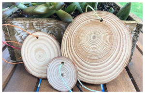 woodsie-craft-at-Austin-Arts-Fair-2019